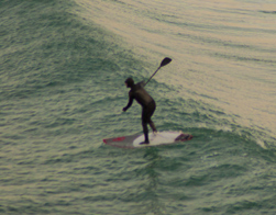 Surfing Lessons
